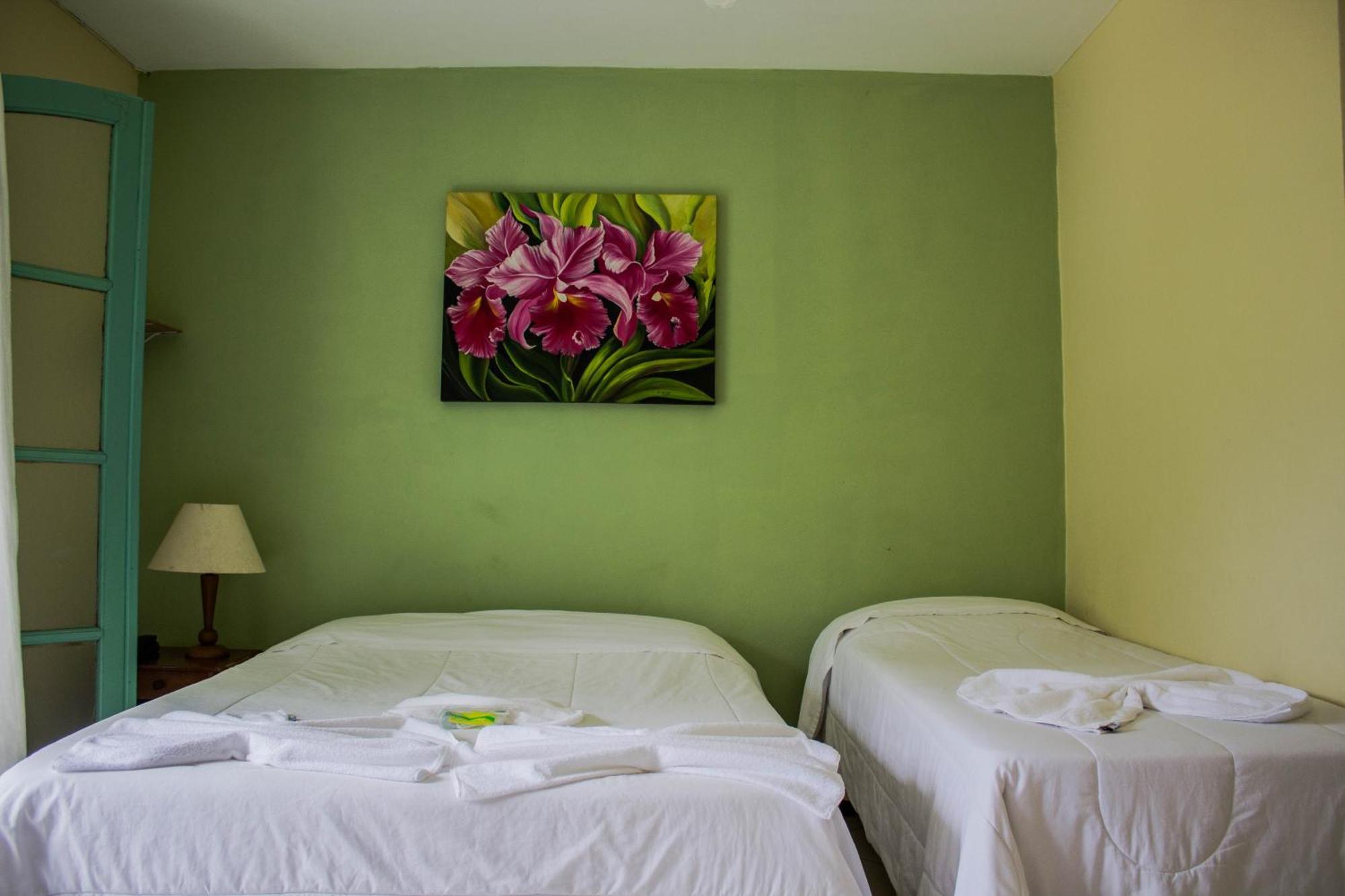 Hotel Fazenda Caledonia Inn Нова-Фрибурго Екстериор снимка
